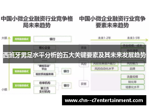 西班牙男足水平分析的五大关键要素及其未来发展趋势